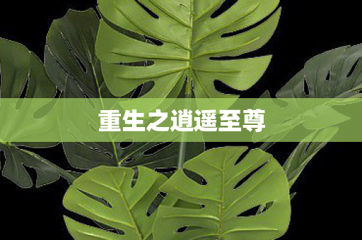 重生之逍遥至尊图片