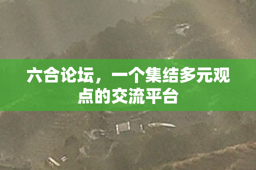 一个集结多元观点的交流平台图片