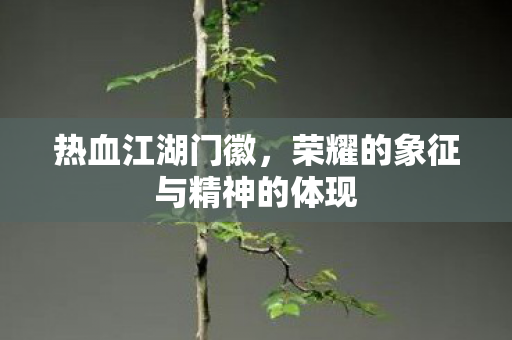 荣耀的象征与精神的体现图片