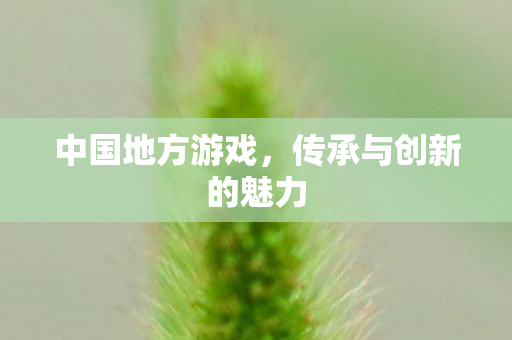 传承与创新的魅力图片
