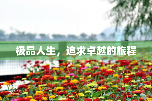 追求卓越的旅程图片