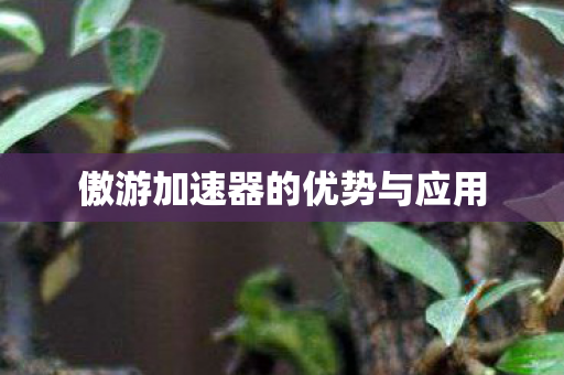 傲游加速器的优势与应用图片