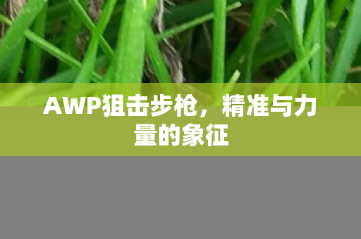 精准与力量的象征图片