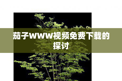 茄子WWW视频免费下载的探讨图片