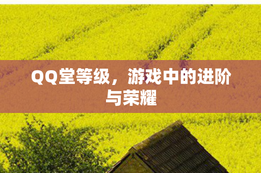 游戏中的进阶与荣耀图片