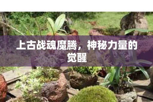 神秘力量的觉醒图片