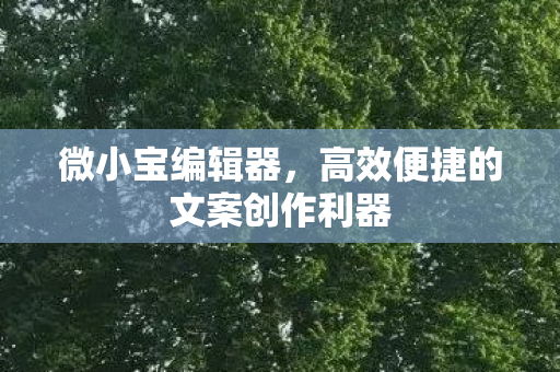 高效便捷的文案创作利器图片