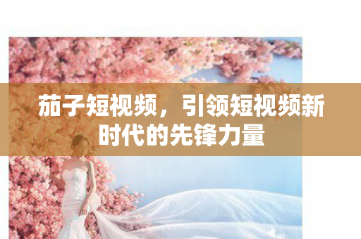 引领短视频新时代的先锋力量图片