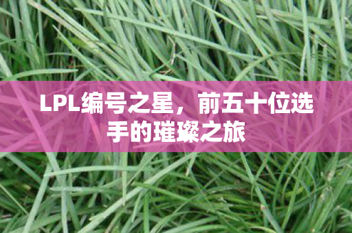 前五十位选手的璀璨之旅图片