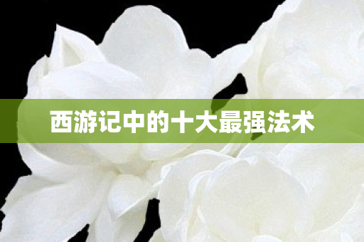 西游记中的十大最强法术图片
