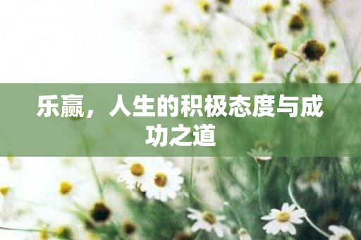 人生的积极态度与成功之道图片