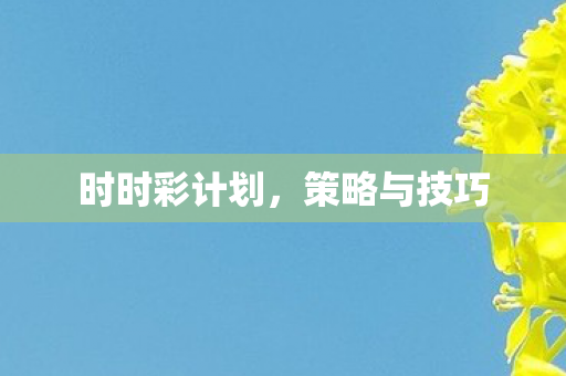 时时彩计划图片