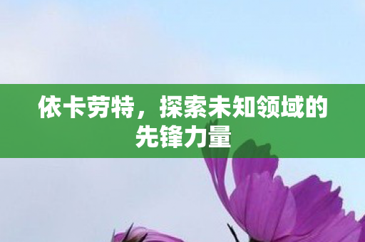 探索未知领域的先锋力量图片