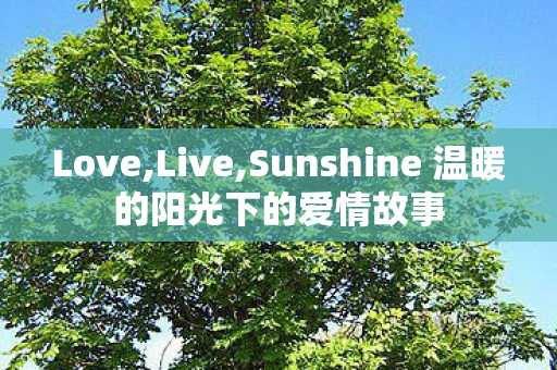 Sunshine 温暖的阳光下的爱情故事图片