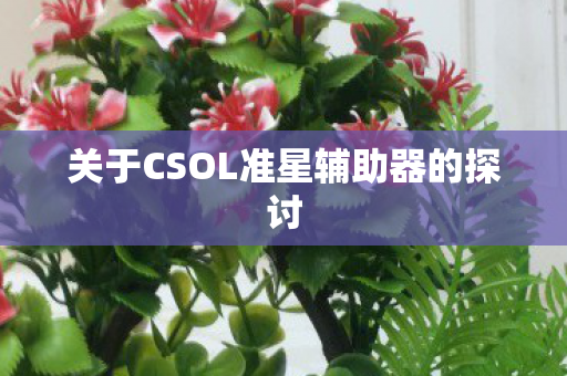 关于CSOL准星辅助器的探讨图片