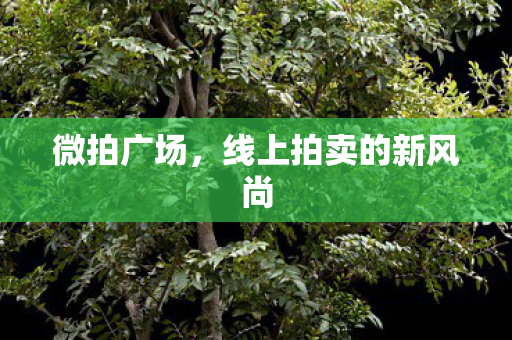 线上拍卖的新风尚图片