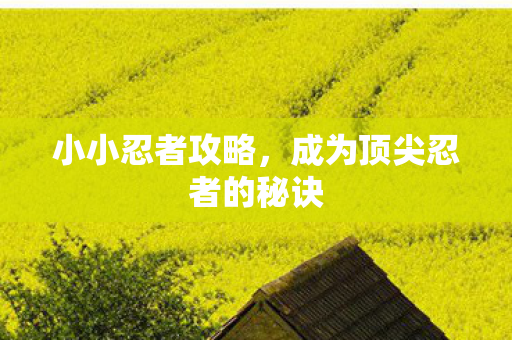 成为顶尖忍者的秘诀图片