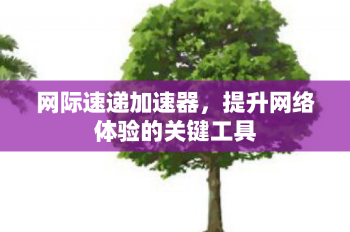 提升网络体验的关键工具图片