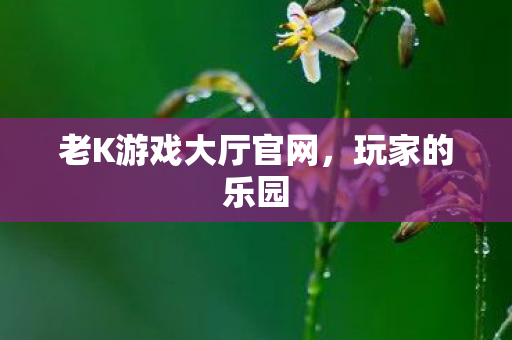 老K游戏大厅官网图片