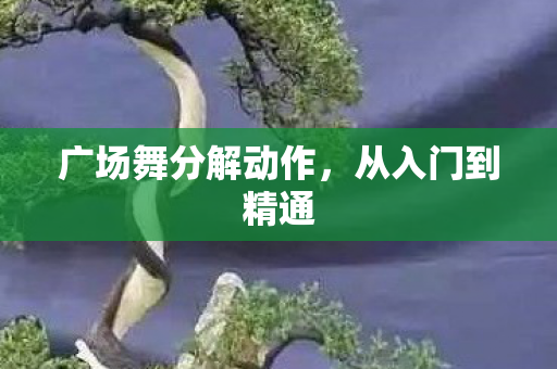 广场舞分解动作图片