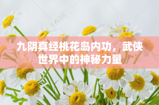 武侠世界中的神秘力量图片