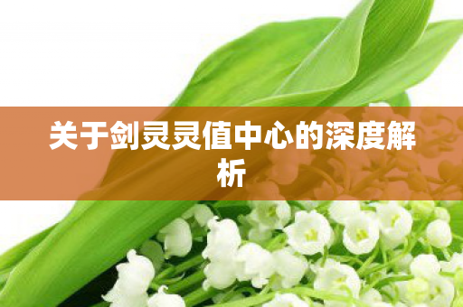 关于剑灵灵值中心的深度解析图片