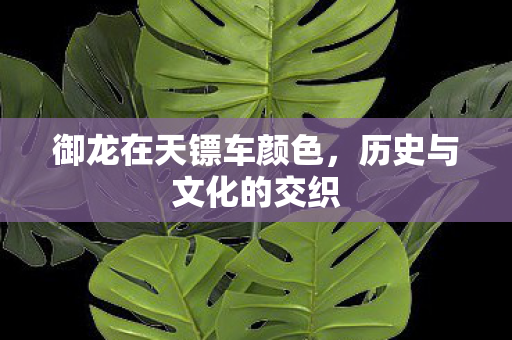 御龙在天镖车颜色图片