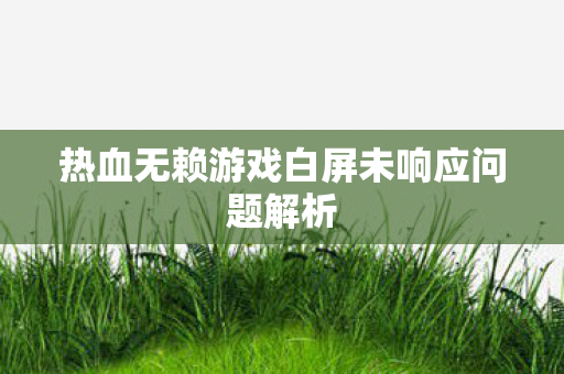 热血无赖游戏白屏未响应问题解析图片