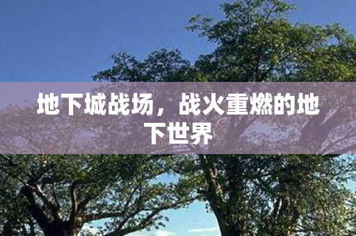战火重燃的地下世界图片