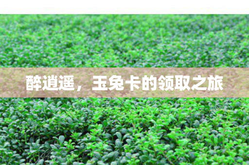 玉兔卡的领取之旅图片