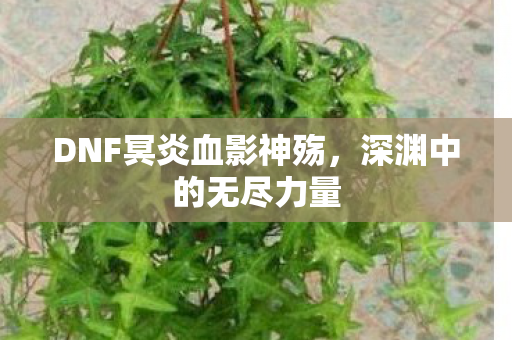 DNF冥炎血影神殇图片