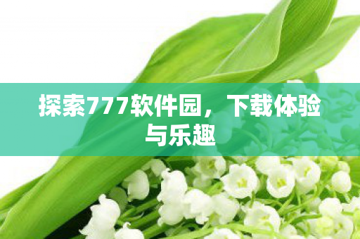 探索777软件园图片