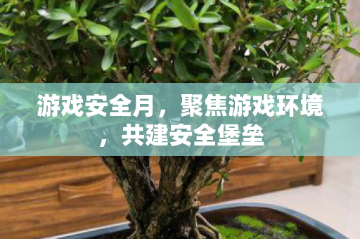 聚焦游戏环境图片