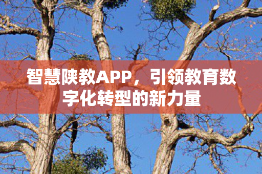 引领教育数字化转型的新力量图片