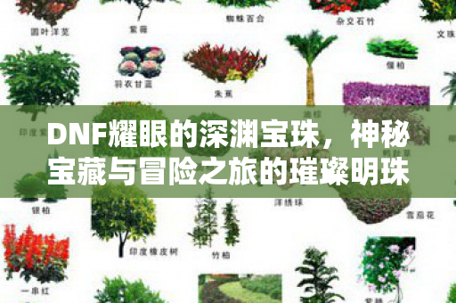 神秘宝藏与冒险之旅的璀璨明珠图片