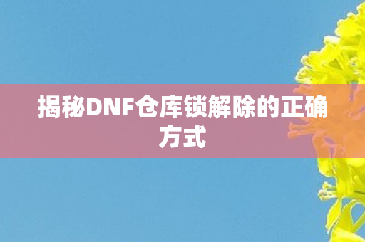 揭秘DNF仓库锁解除的正确方式图片