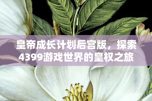 探索4399游戏世界的皇权之旅图片
