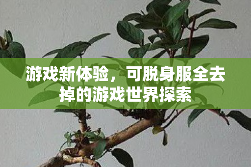 可脱身服全去掉的游戏世界探索图片