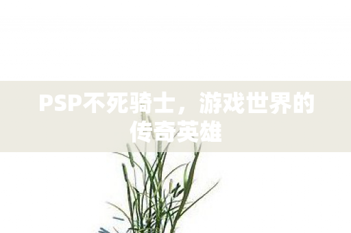 游戏世界的传奇英雄图片