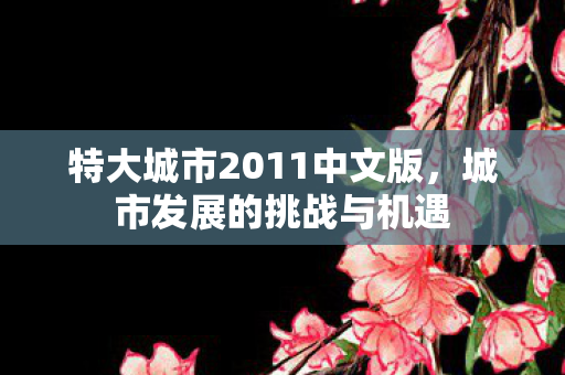 特大城市2011中文版图片