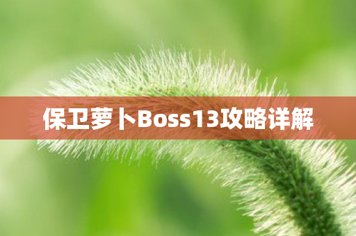 保卫萝卜Boss13攻略详解图片
