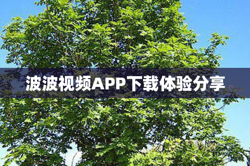 波波视频APP下载体验分享图片