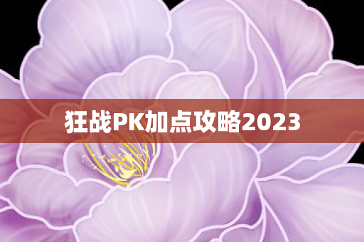 狂战PK加点攻略2023图片