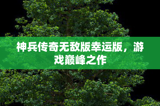 神兵传奇无敌版幸运版图片