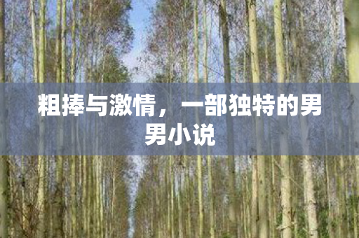 一部独特的男男小说图片
