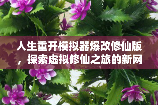人生重开模拟器爆改修仙版图片