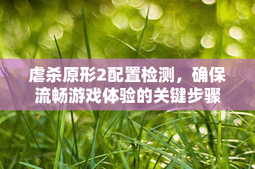 确保流畅游戏体验的关键步骤图片