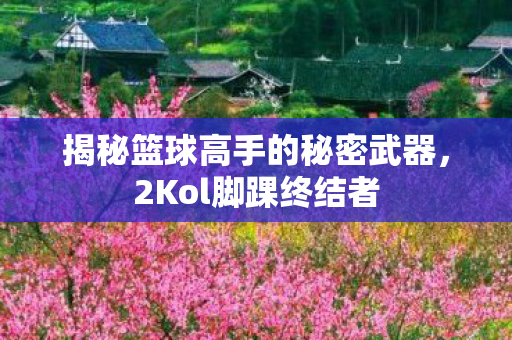 揭秘篮球高手的秘密武器图片