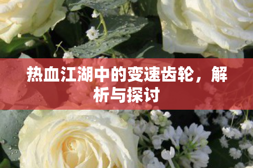 热血江湖中的变速齿轮图片