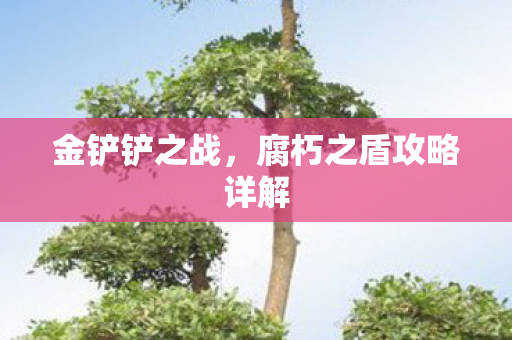 腐朽之盾攻略详解图片